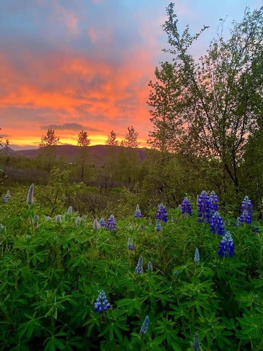 Luxury Cottage Located In The Golden Circle, Mountain View! Laugarvatn Extérieur photo